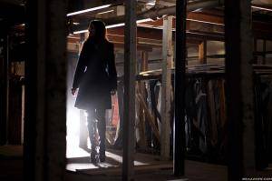 Original 2495 px/ 1663 px