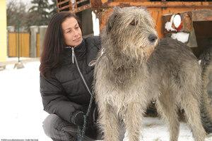 Original 1536 px/ 1024 px