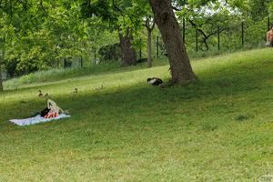 Original 1920 px/ 1280 px