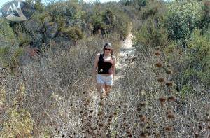 Original 800 px/ 527 px