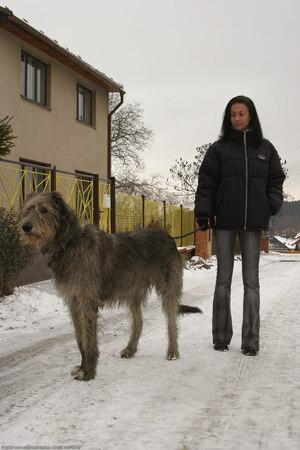 Original 1024 px/ 1536 px