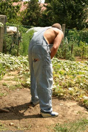 Original 1024 px/ 1536 px