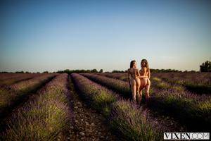 Original 3000 px/ 2000 px