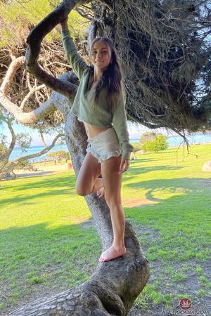 Original 2000 px/ 3000 px