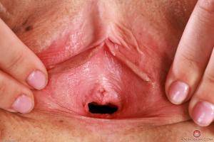 Original 3000 px/ 2000 px