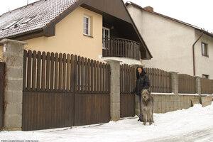 Original 1536 px/ 1024 px