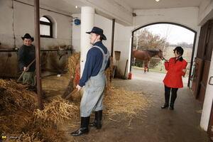 Original 1680 px/ 1120 px