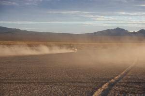 Original 2495 px/ 1663 px