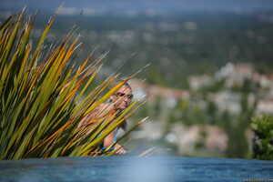 Original 2495 px/ 1663 px