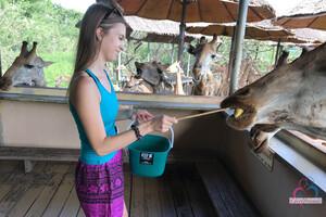 Original 3000 px/ 2000 px