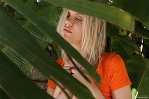 Original 4000 px/ 2667 px