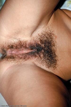 Original 682 px/ 1024 px