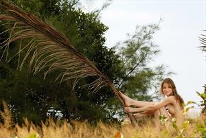 Original 4000 px/ 2678 px