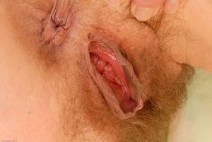 Original 3000 px/ 2008 px