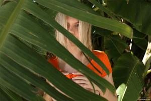 Original 4000 px/ 2667 px