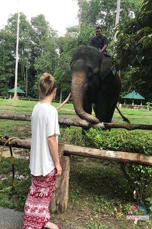 Original 2000 px/ 3000 px