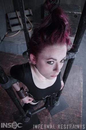 Original 795 px/ 1200 px