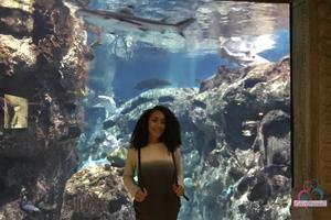 Original 3000 px/ 2000 px