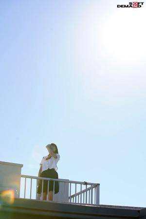 Original 533 px/ 800 px