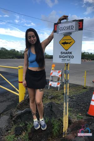 Original 2000 px/ 3000 px