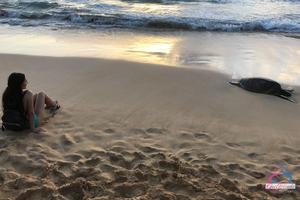 Original 3000 px/ 2000 px