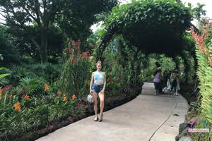 Original 3000 px/ 2000 px