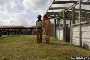 Original 800 px/ 533 px