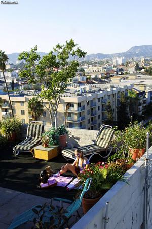 Original 682 px/ 1024 px