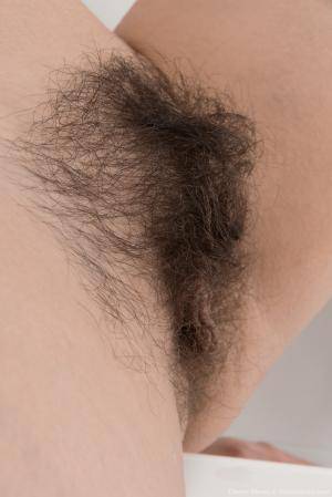 Original 854 px/ 1280 px