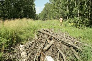 Original 3888 px/ 2592 px