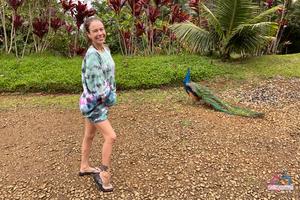 Original 3000 px/ 2000 px