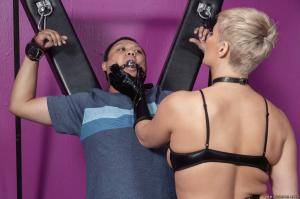 Original 2495 px/ 1663 px