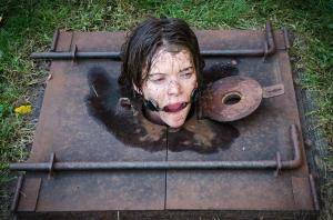 Original 1200 px/ 795 px