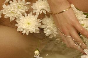 Original 2500 px/ 1662 px