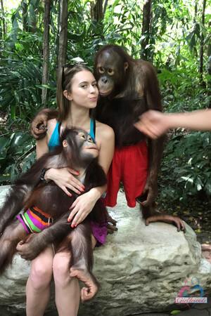 Original 2000 px/ 3000 px