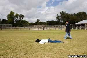 Original 800 px/ 533 px