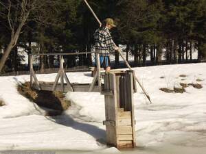 Original 1600 px/ 1200 px