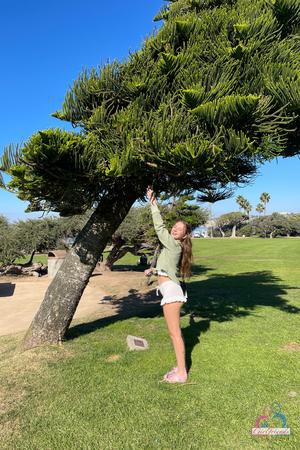 Original 2000 px/ 3000 px