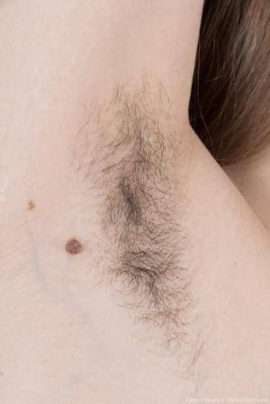 Original 854 px/ 1280 px