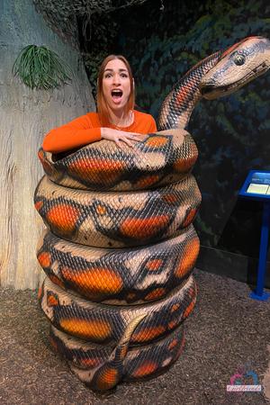 Original 2000 px/ 3000 px