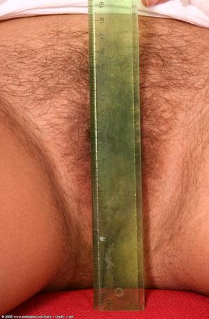 Original 672 px/ 1024 px