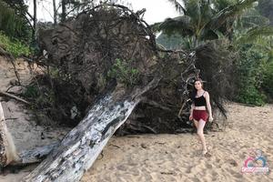 Original 3000 px/ 2000 px