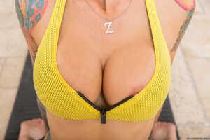 Original 2495 px/ 1663 px