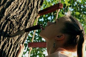 Original 5616 px/ 3744 px