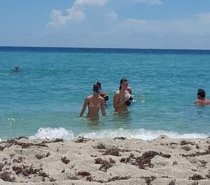 Original 1021 px/ 898 px