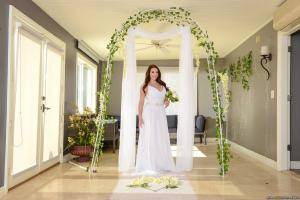 Original 2491 px/ 1663 px