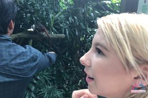 Original 3000 px/ 2000 px