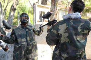 Original 2499 px/ 1663 px