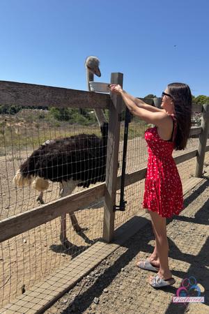 Original 3333 px/ 5000 px