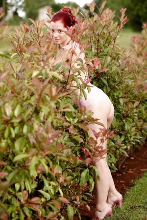 Original 2000 px/ 3000 px